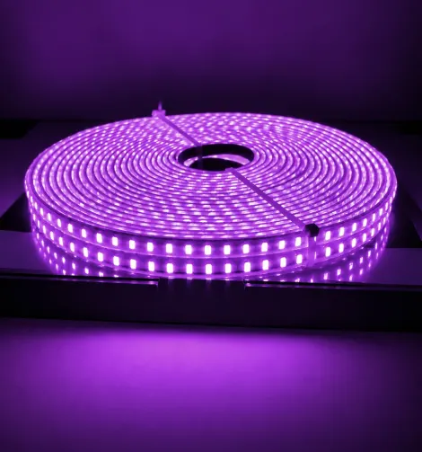LED Rope Light Purple